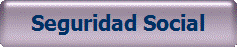 Seguridad Social
