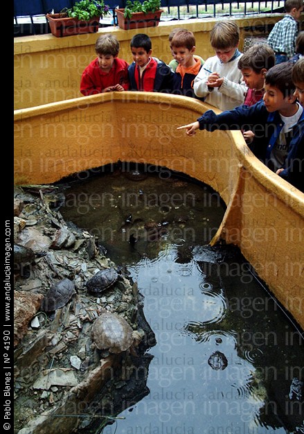 VISITA AL ZOOLGICO