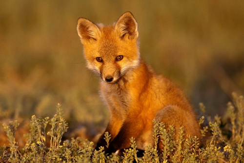 CLICK PARA ENTRAR Y VER MAS FOTOGRAFIAS
