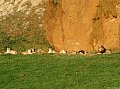 Parque de Cabárceno2