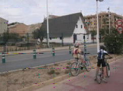 Bicicletas
