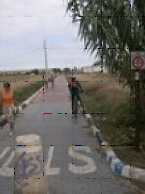 Bicicletas