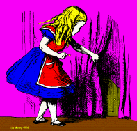 alicia_foto.gif (18080 bytes)