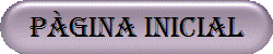 P�GINA INICIAL