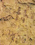 Pinturas Rupestres