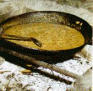 Gazpacho Ayorino