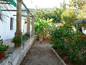 Vista de los jardines junto a la �naia� exterior