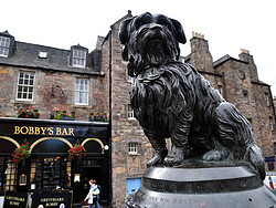Bobby's Bar