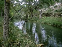 El rio Linares