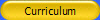 Curriculum