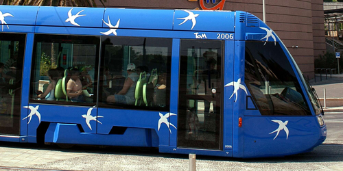 tranva2