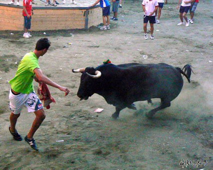 Festejos Taurinos