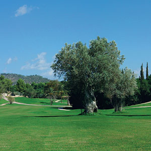 CAMPOS DE GOLF