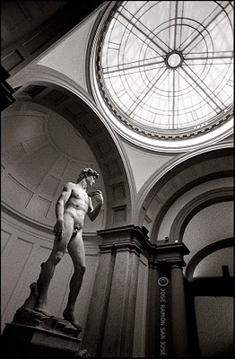 david