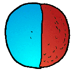 Bola de dos colors.