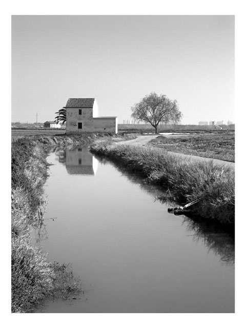 ALBUFERA