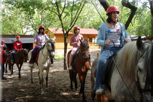 Ruta nios