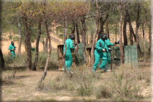 Paintball