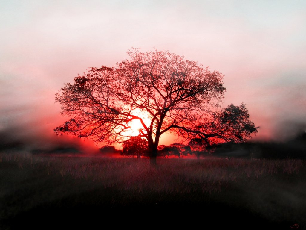 Wallpapers Paisajes HD Wallpapers Paisajes HD