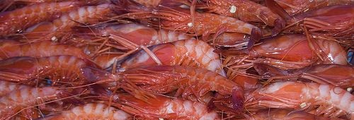 Gambas de Dénia