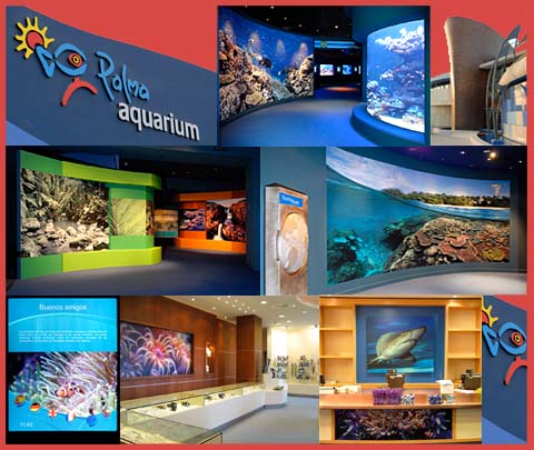 aquarium