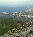 el Montg�