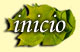 Volver a inicio
