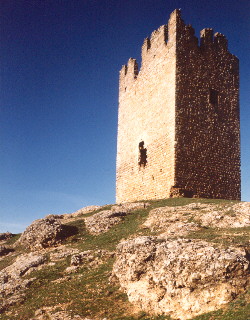 Torre