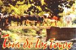 La tr�a de los Toros