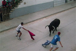 El Bou