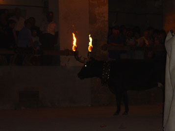 ToRo EmBoLaO