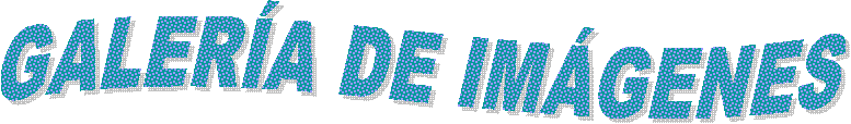 GALER�A DE IM�GENES
