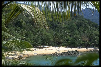isla tropical border=