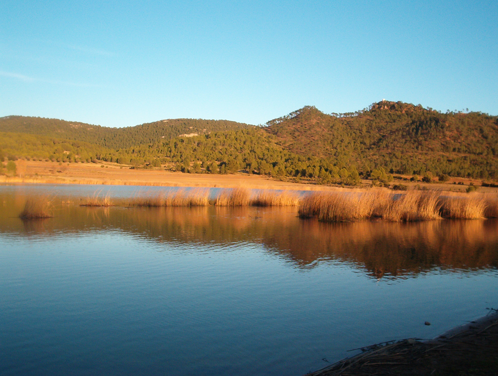 La Laguna
