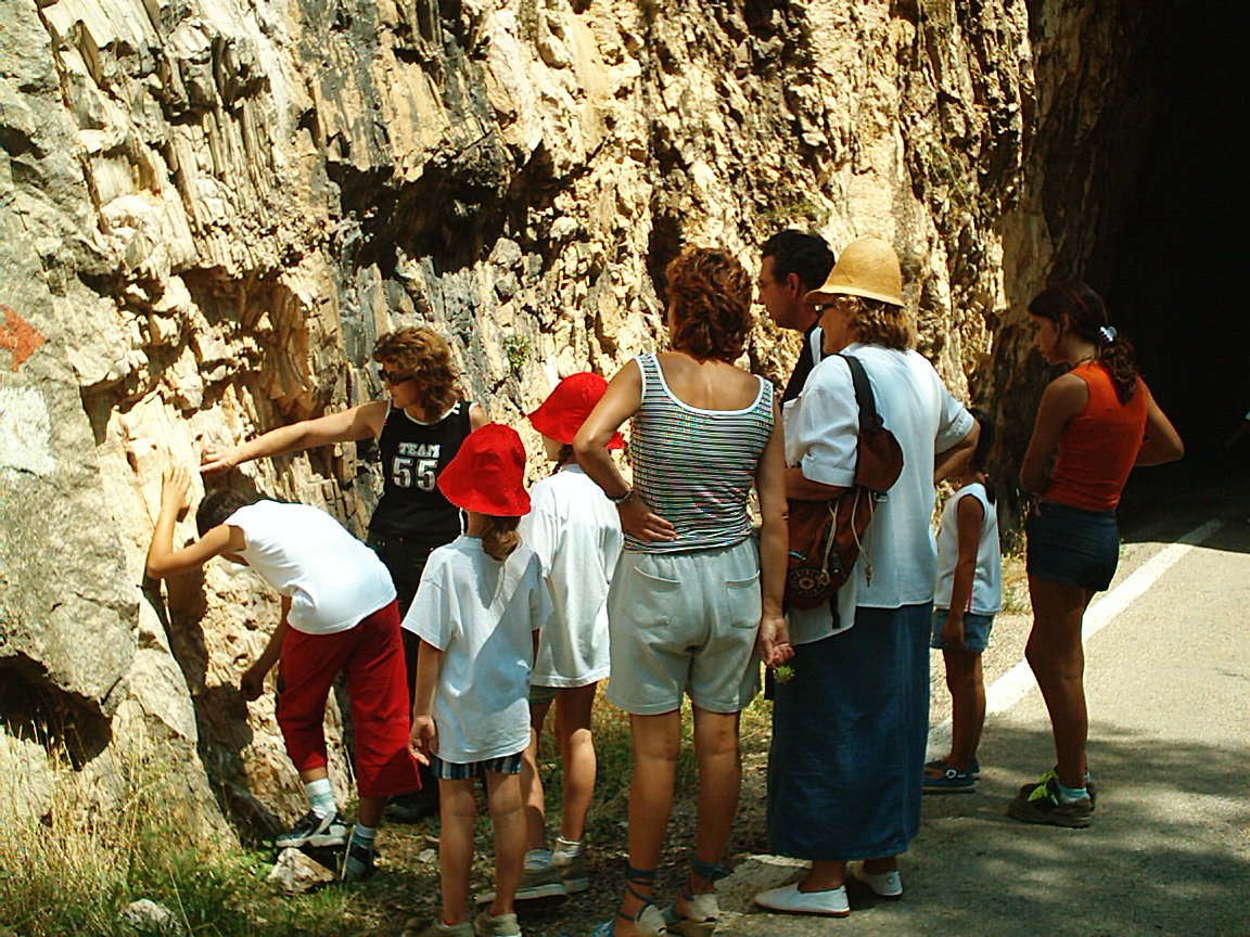 Julia Escorihuela 
Martinez, 
Guia del Parque Geolgico de Aliaga, Teruel