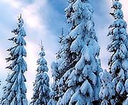 invierno