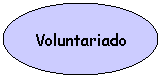 Elipse: Voluntariado
