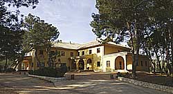 Masa del Olivar