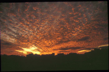 Atardecer en el centro de Valencia.