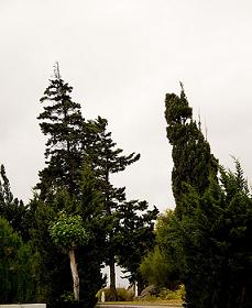 naturaleza