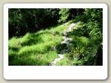 Monasterio de Piedra (Nu�valos), junio de 2004