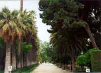 VIVEROS