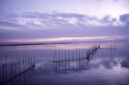 albufera