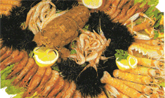 Gastronomia