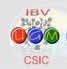 IBV-CSIC
