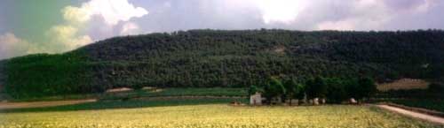 Entorno geogr�fico